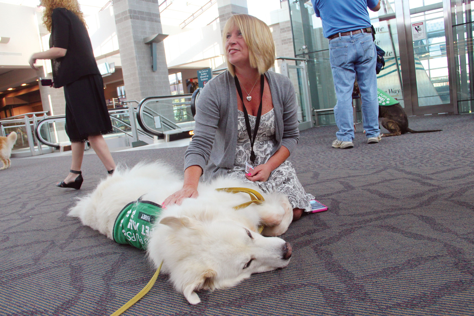 LOVING IT: Harry the Great Pyrenees enjoys a pet from PVD Pups co-founder Liberty Luciano.