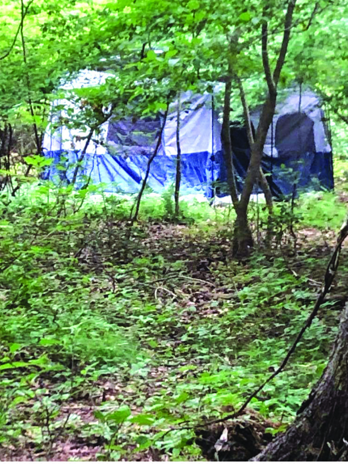 EMPTY CAMP SITE: A visit to one of the campsites in the woods on both sides of the Meadow View walking and bike path on Warwick Neck found a tent but no people on Monday morning. (Warwick Beacon photo)
